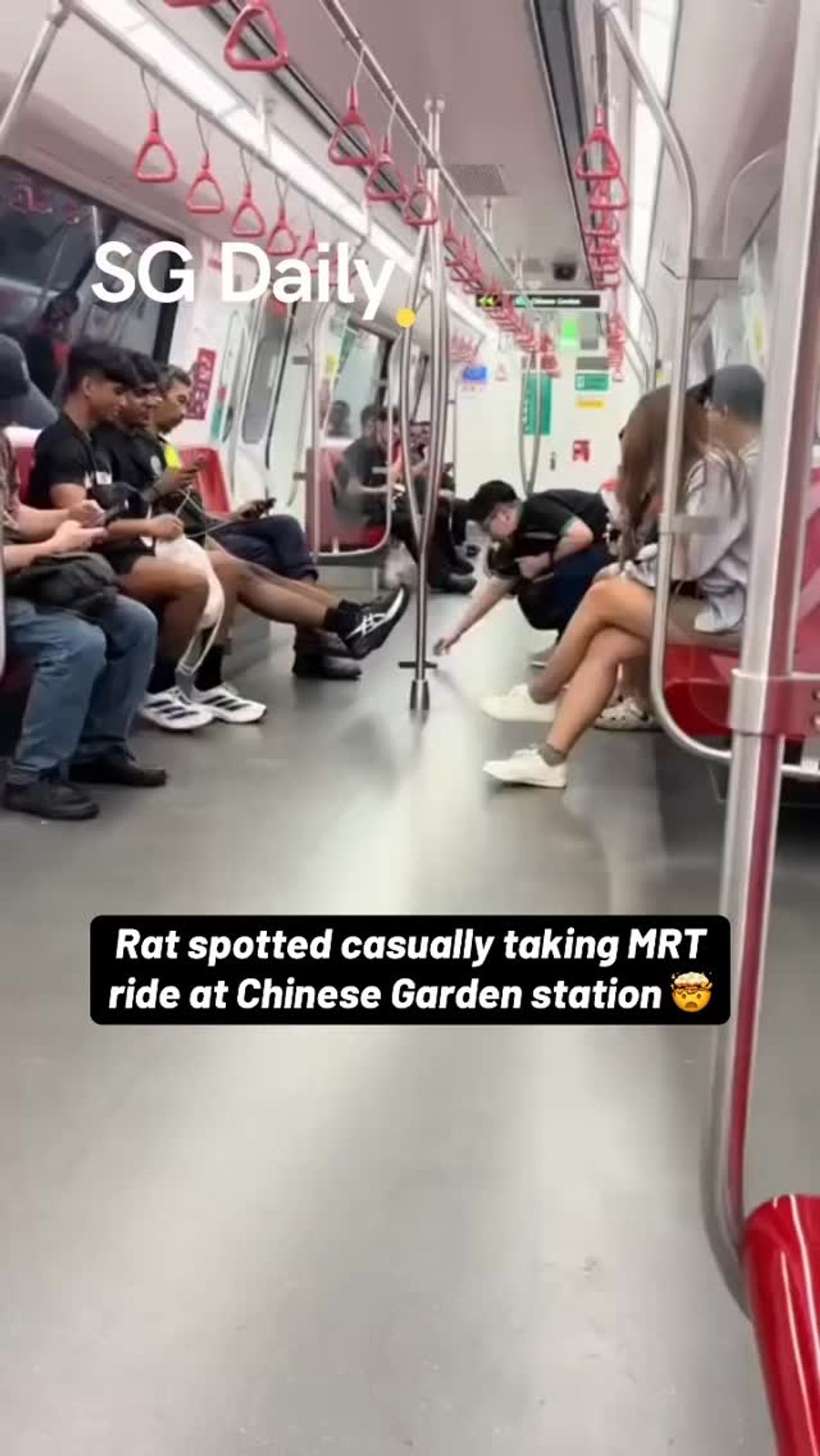 Rat runs through MRT train at Chinese Garden station