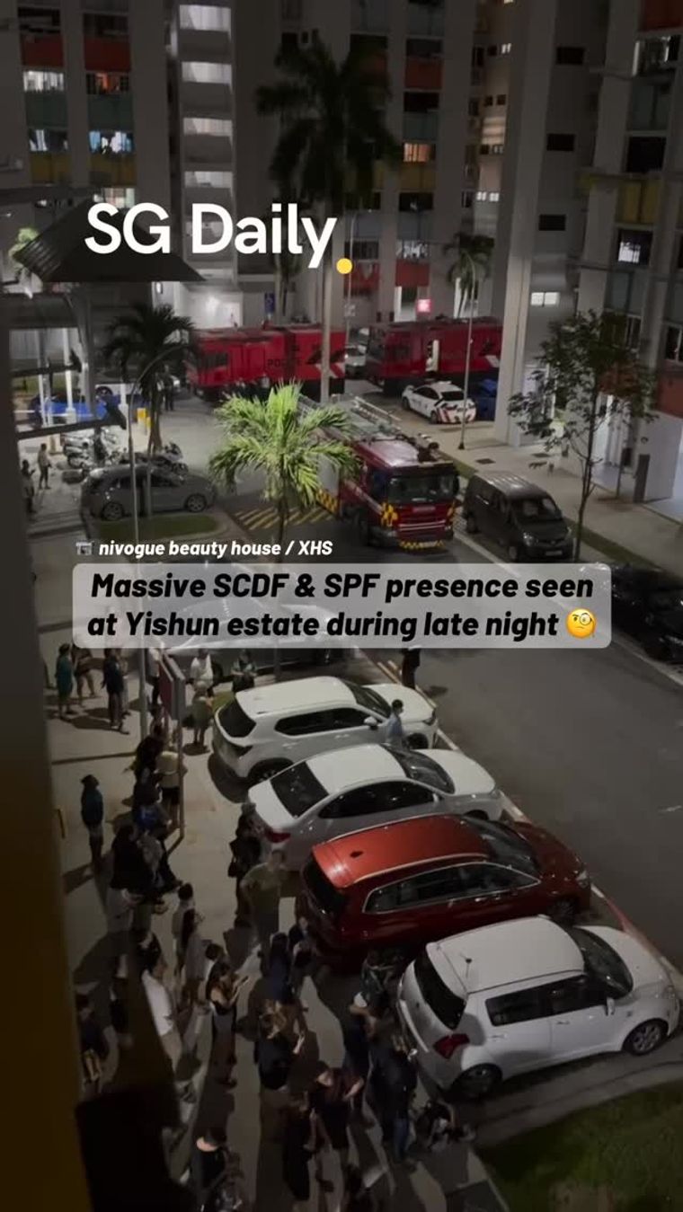 Large SCDF and SPF presence seen at Yishun estate late at night