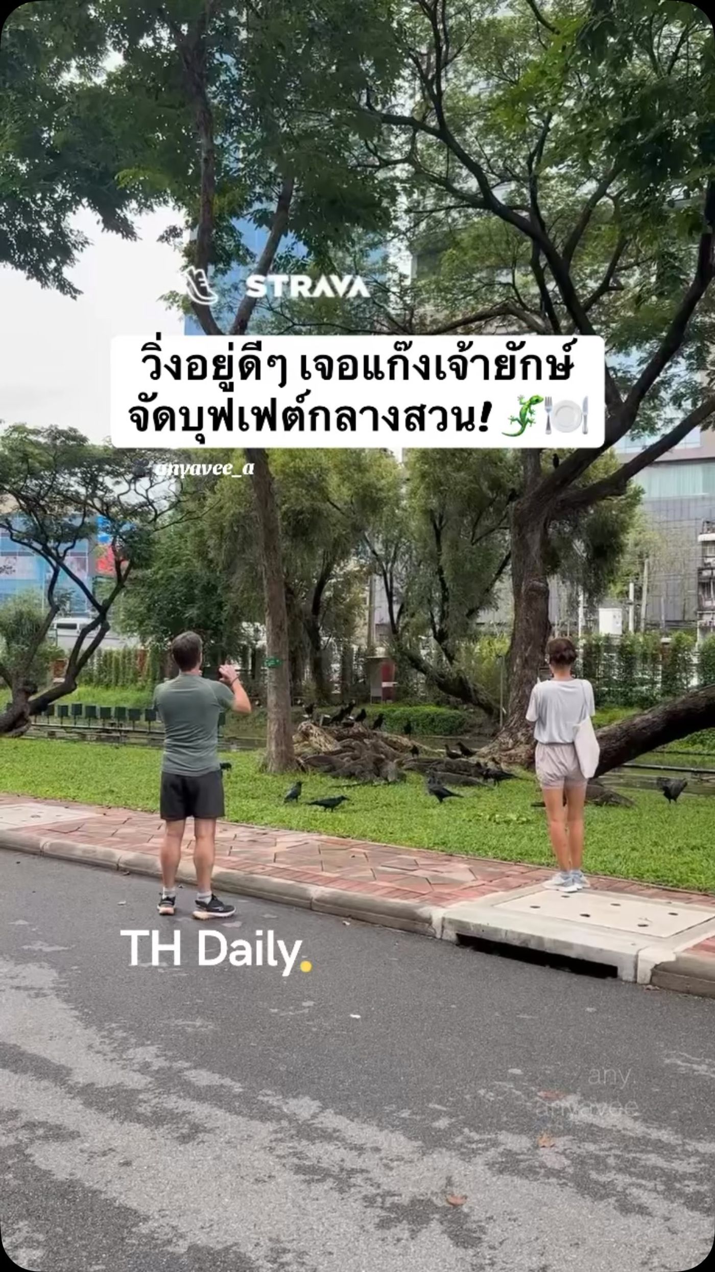 Joggers spot a group of monitor lizards in a park