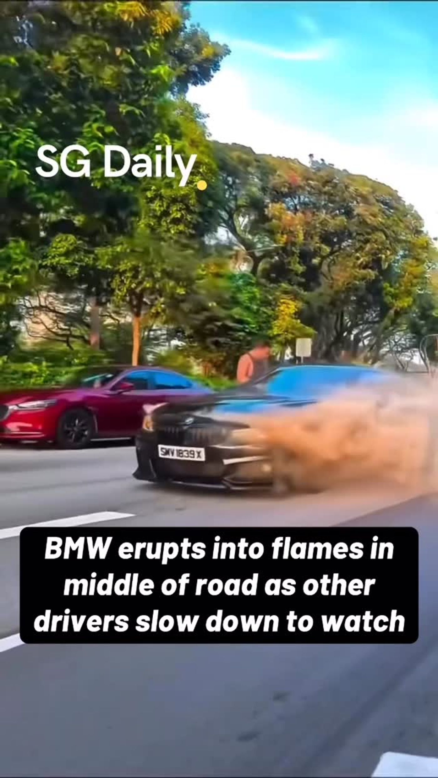 BMW erupts into flames on road as drivers slow down