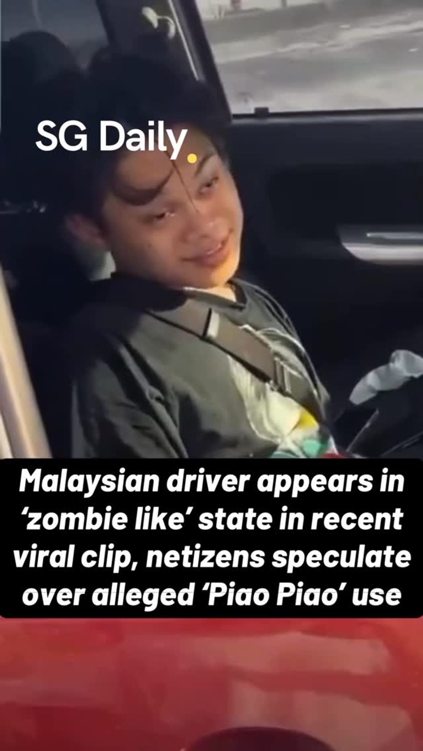 Malaysian driver appears dazed as viewers speculate about 'Piao Piao'