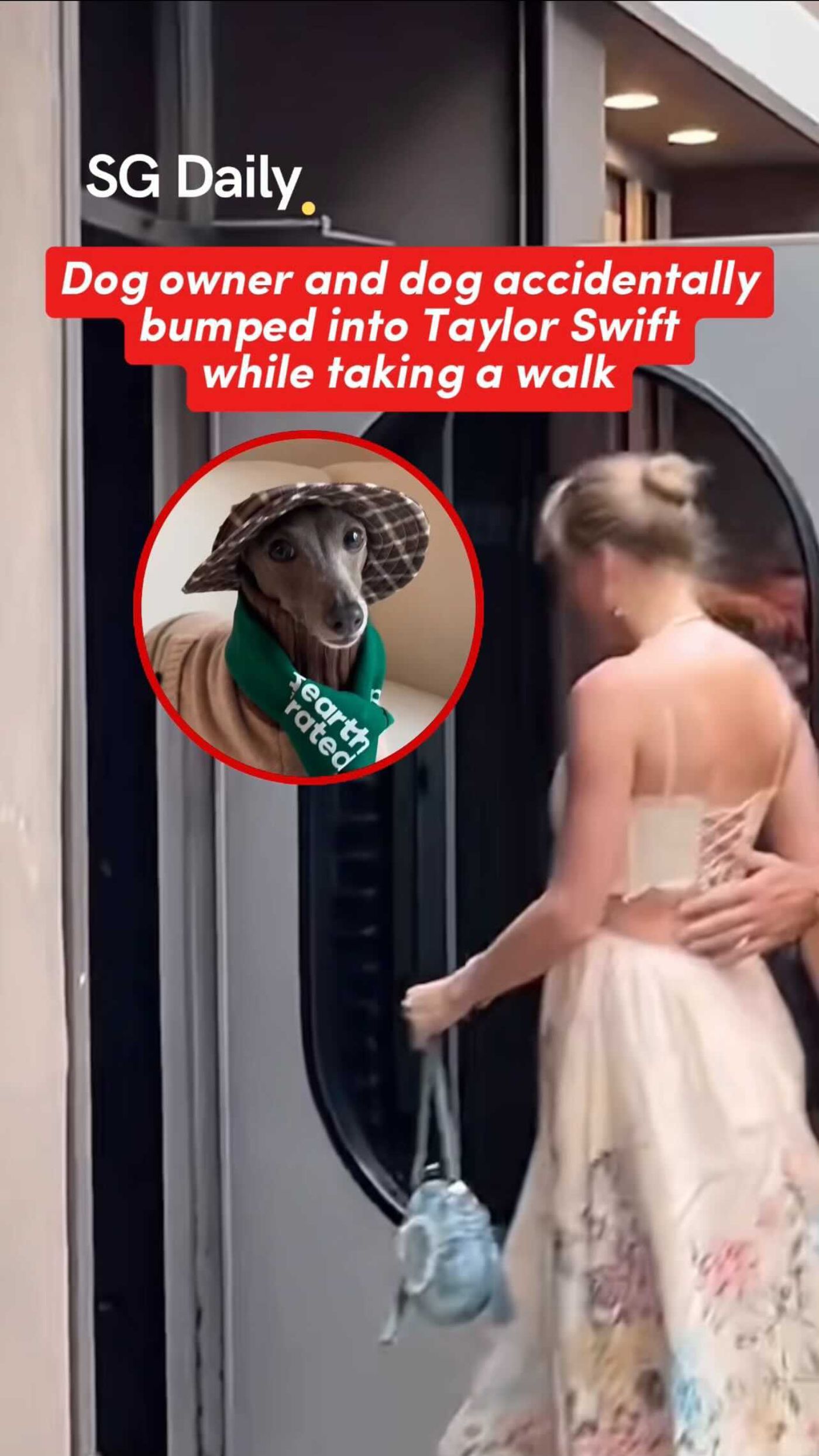 Dog Owner and Dog Appear to Bump Into Taylor Swift During a Walk