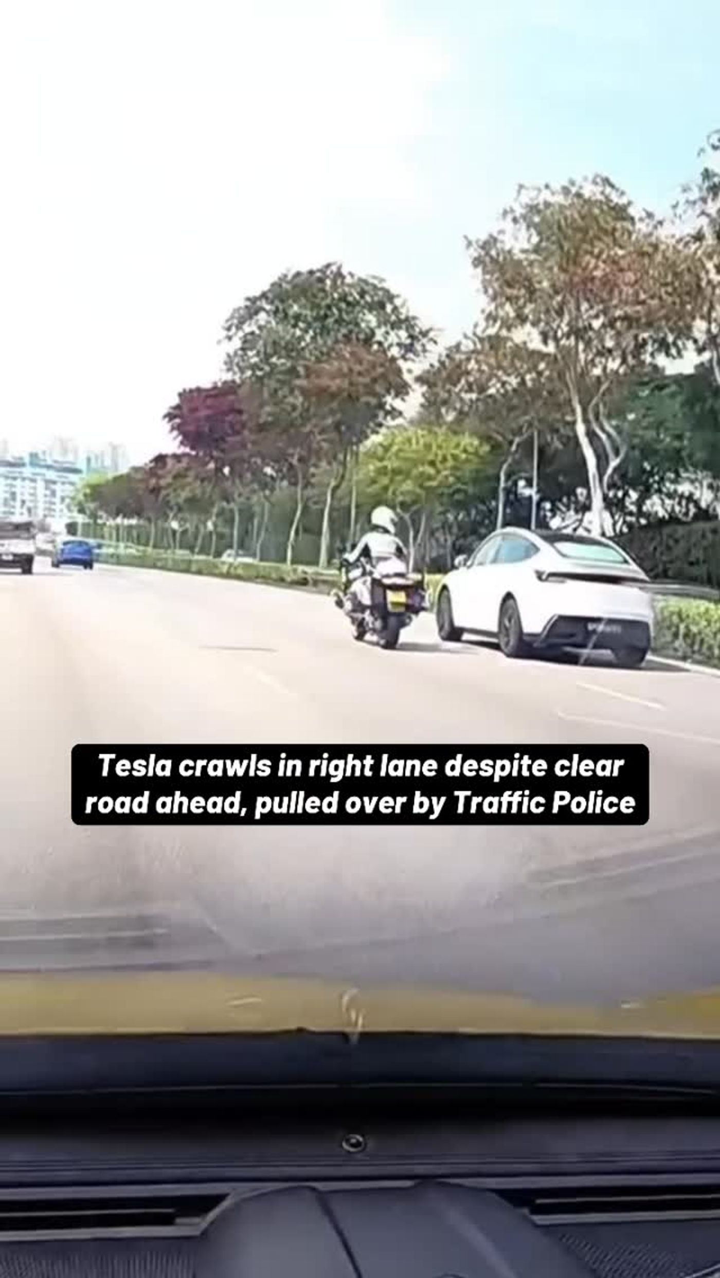Tesla crawls in right lane despite clear road ahead, pulled over by Traffic Police