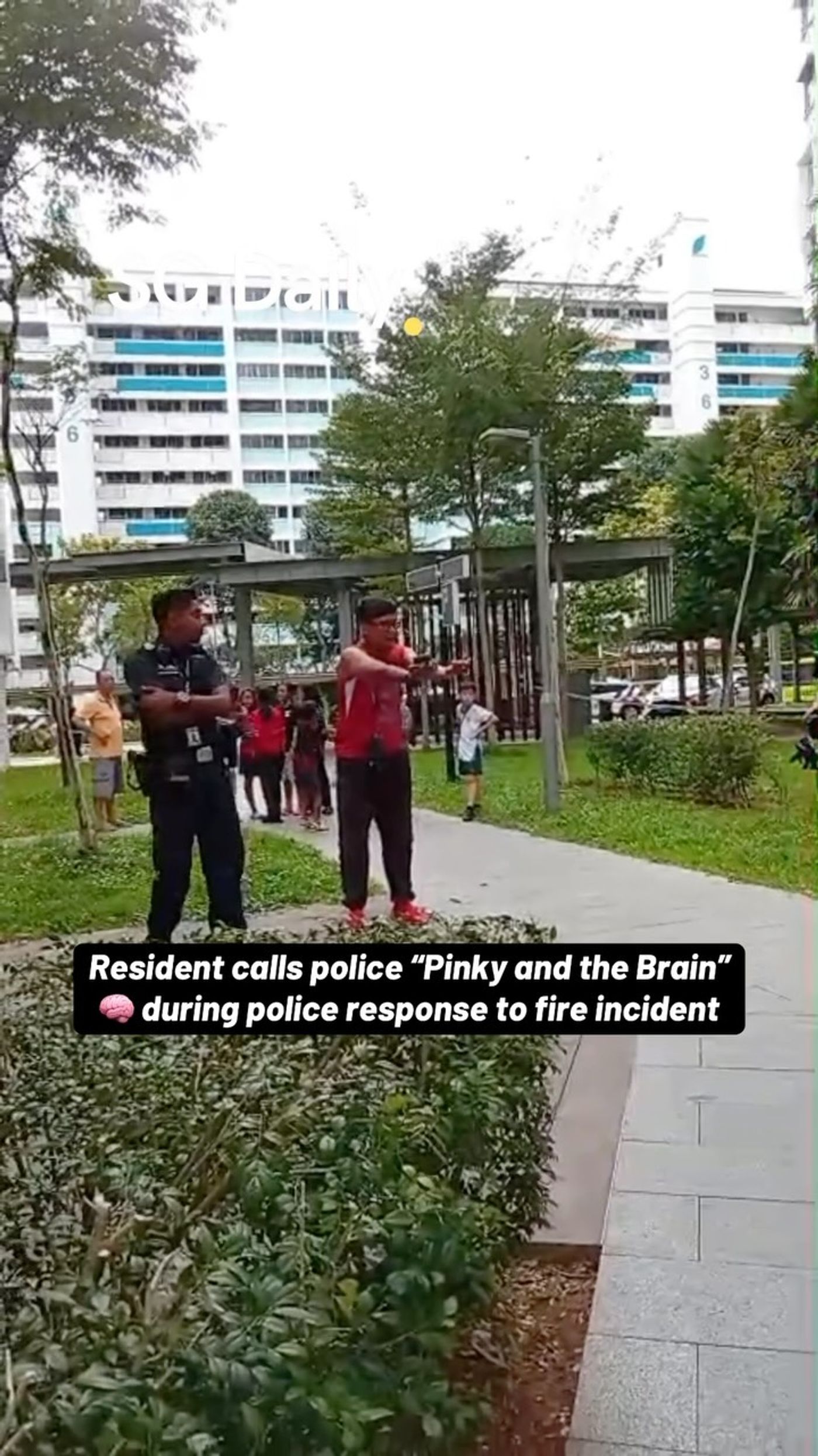 Resident calls police 'Pinky and the Brain' during Yishun fire response