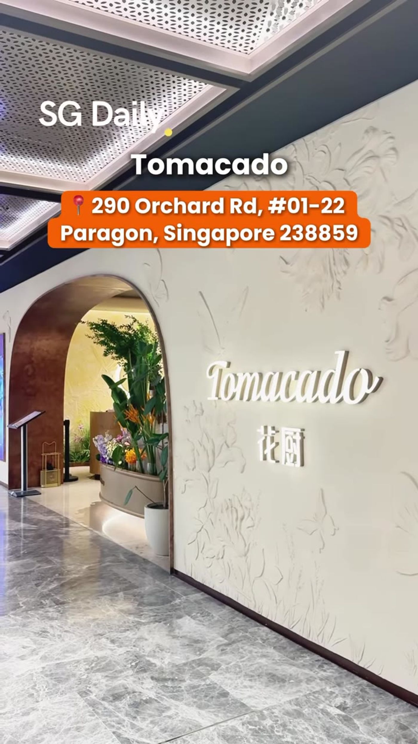 Tomacado at Paragon, 290 Orchard Road
