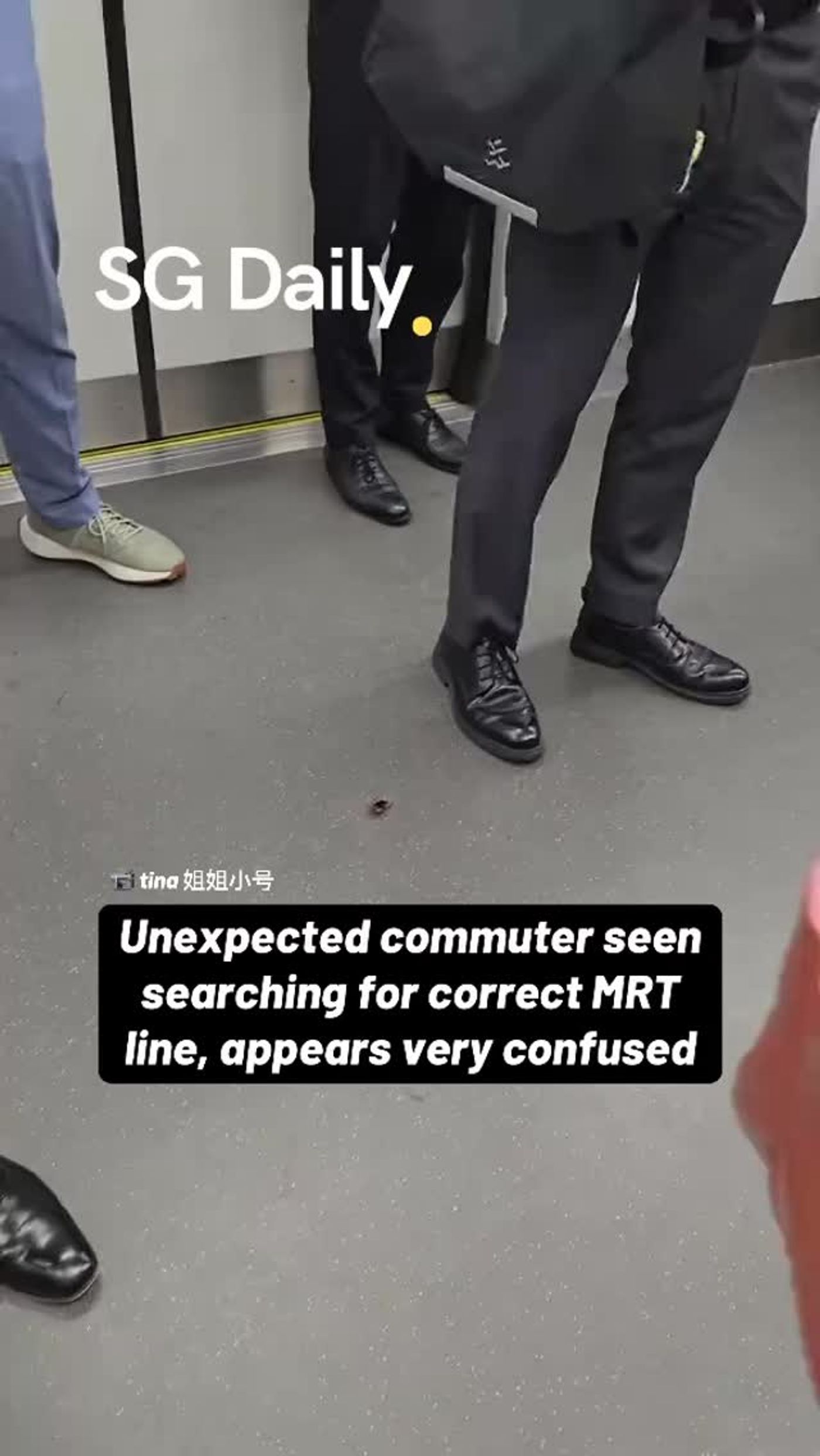 Unexpected commuter seen searching for the correct MRT line