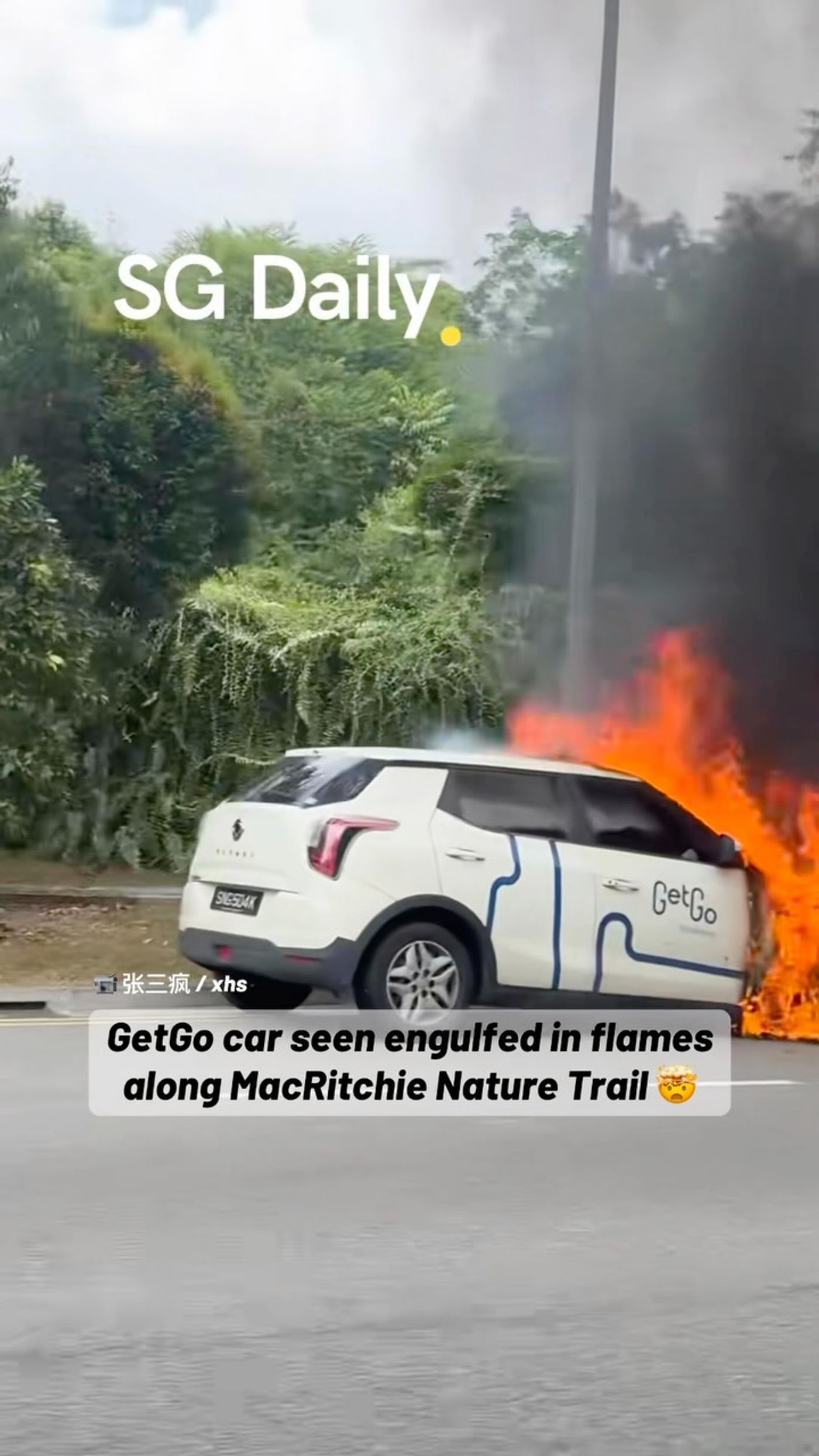 GetGo car seen engulfed in flames along MacRitchie Nature Trail