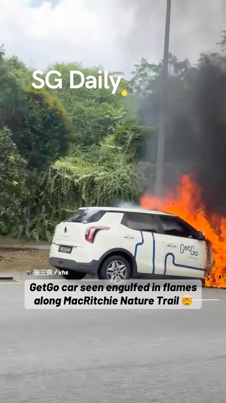 GetGo car seen engulfed in flames along MacRitchie Nature Trail
