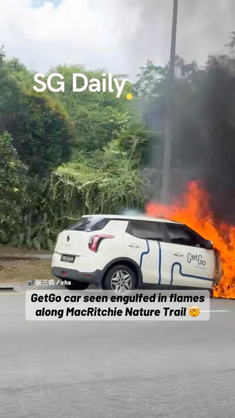 GetGo car seen engulfed in flames along MacRitchie Nature Trail