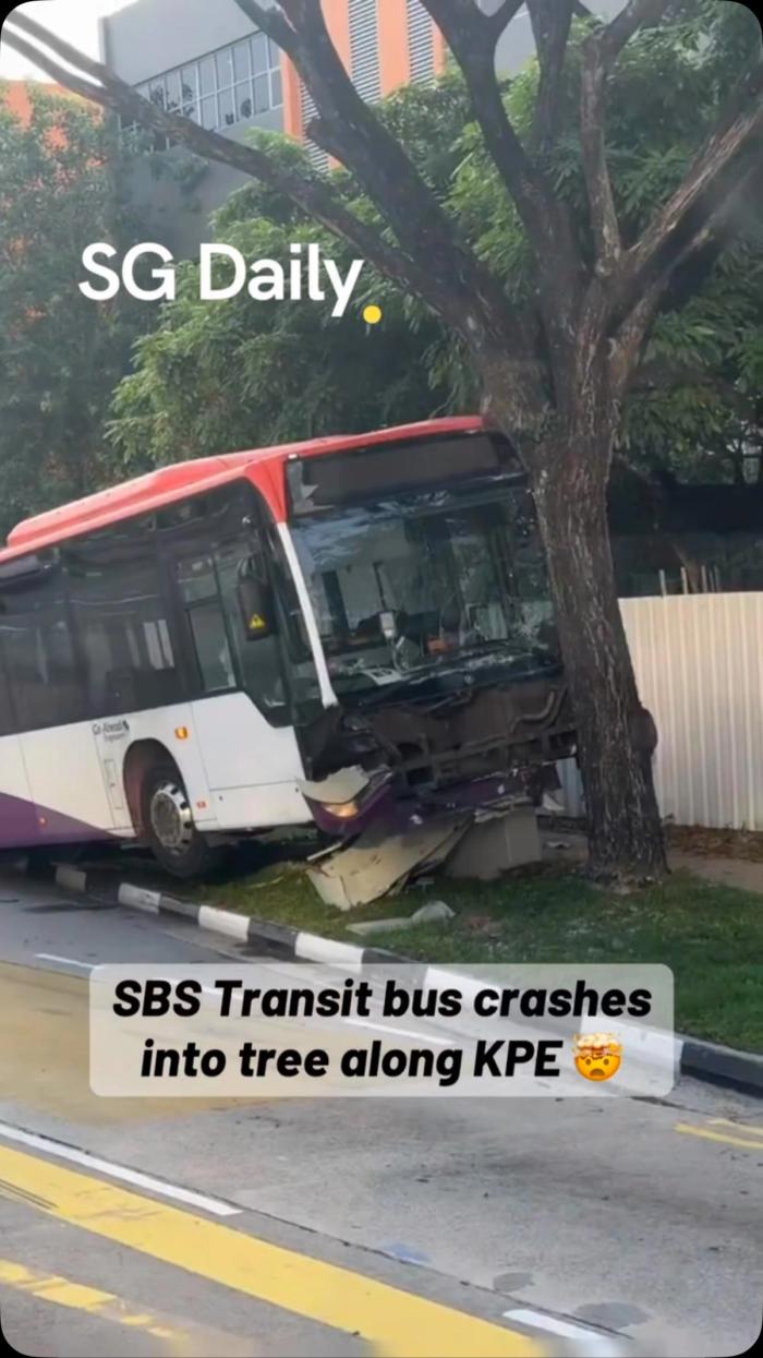 SBS Transit bus crashed into tree near KPE in 2021