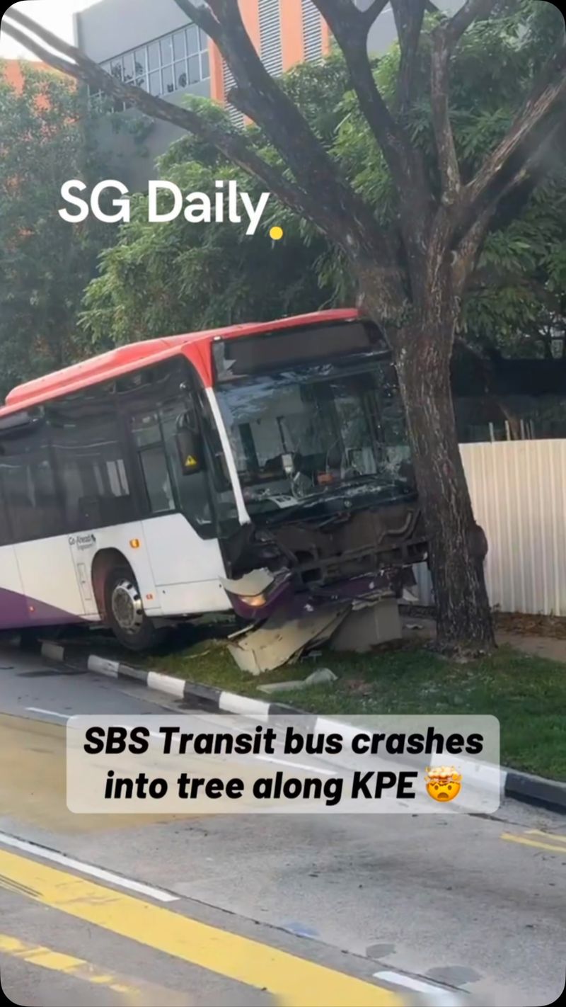 SBS Transit bus crashed into tree near KPE in 2021