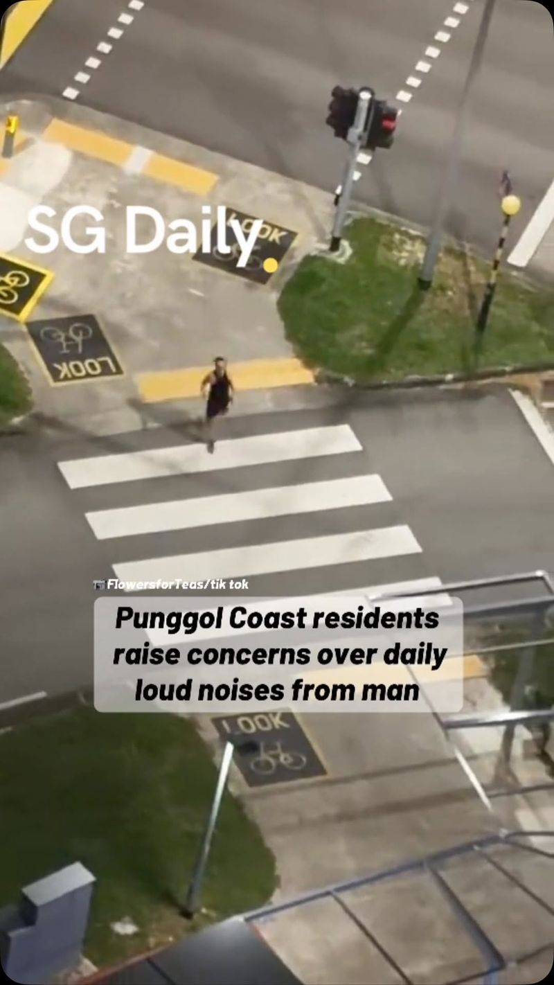 Punggol Coast residents raise concerns over daily loud noises from man