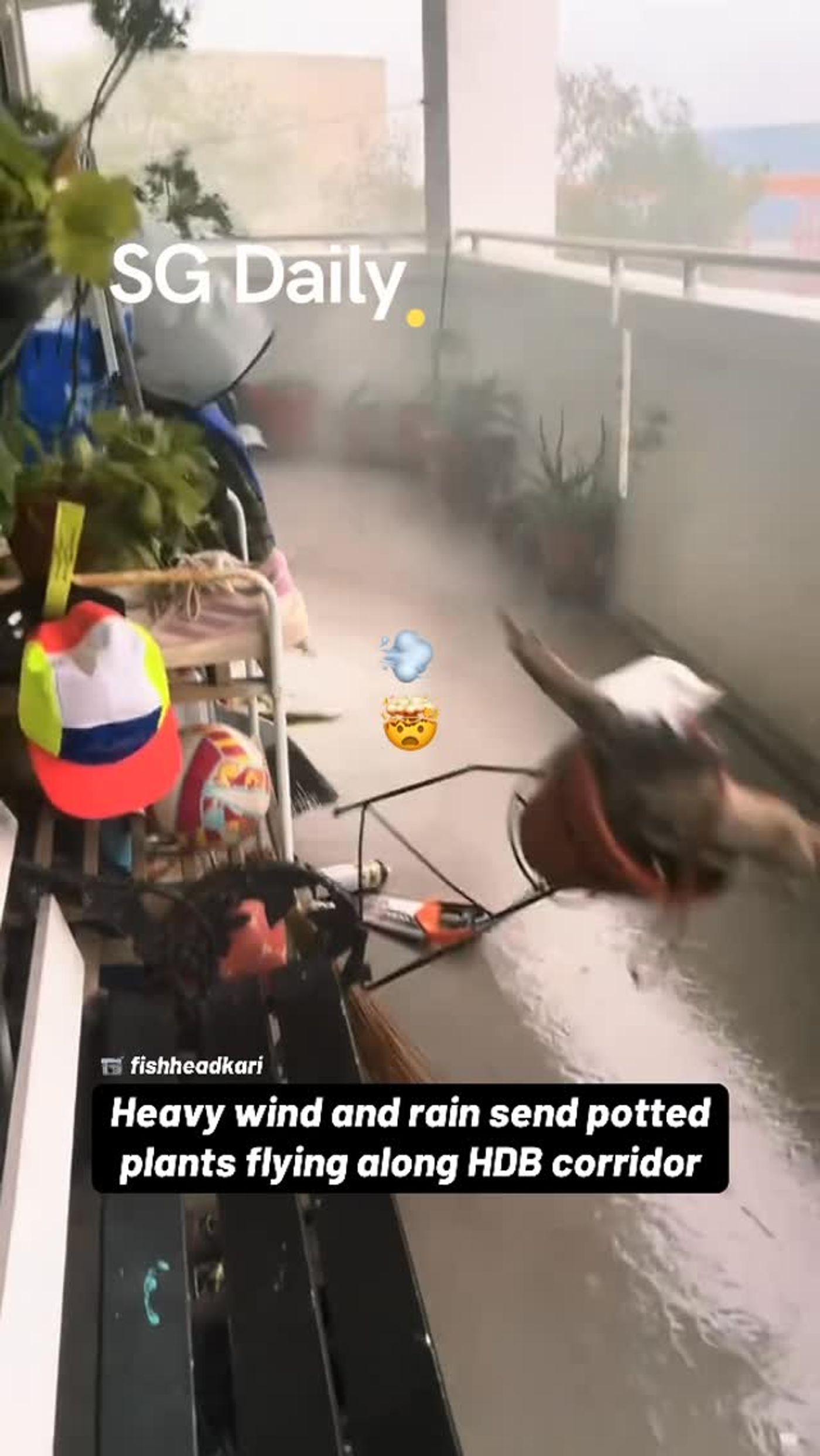 Heavy wind sends potted plants flying along HDB corridor
