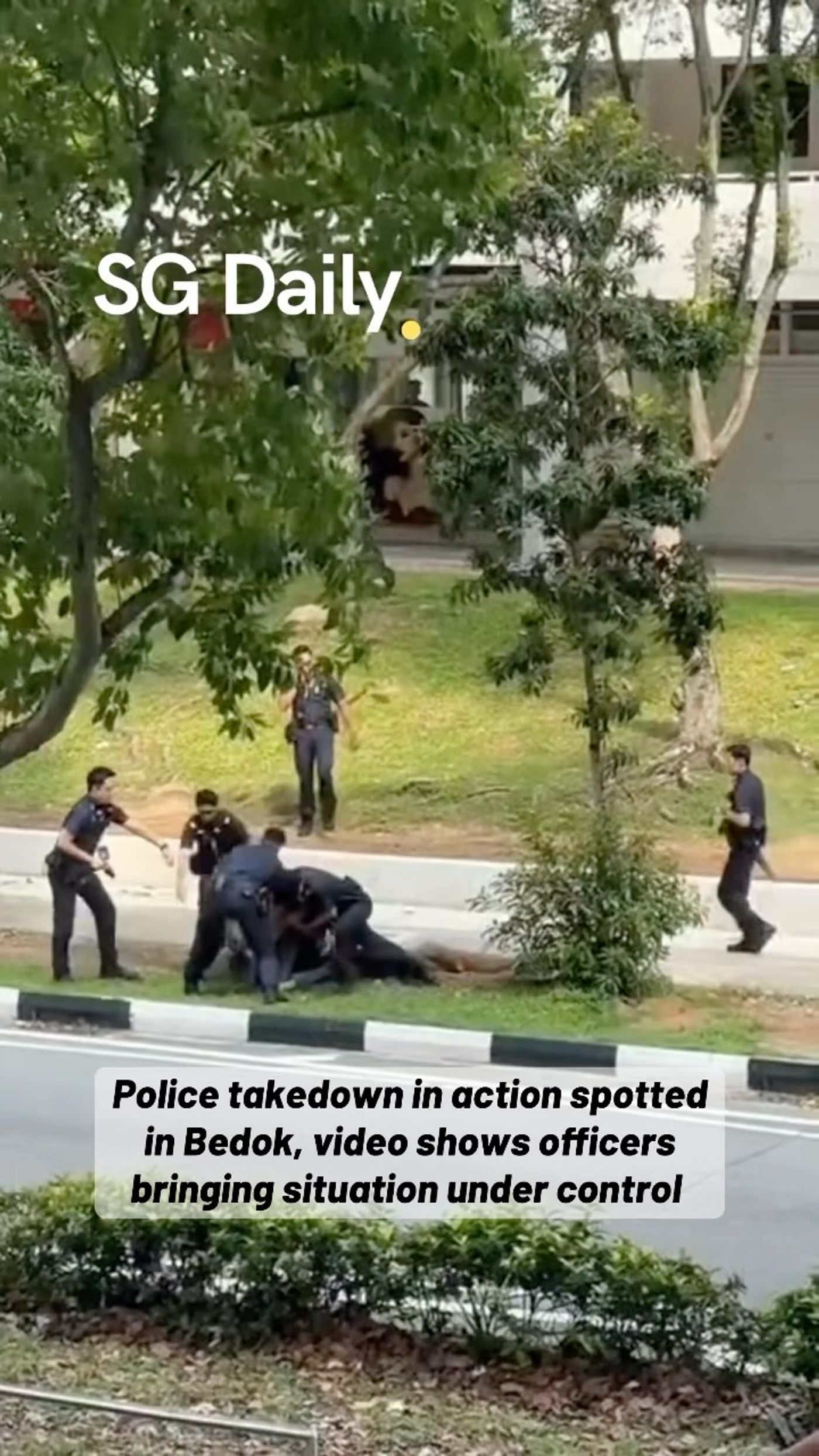 Police arrest man allegedly wielding a saw in Bedok