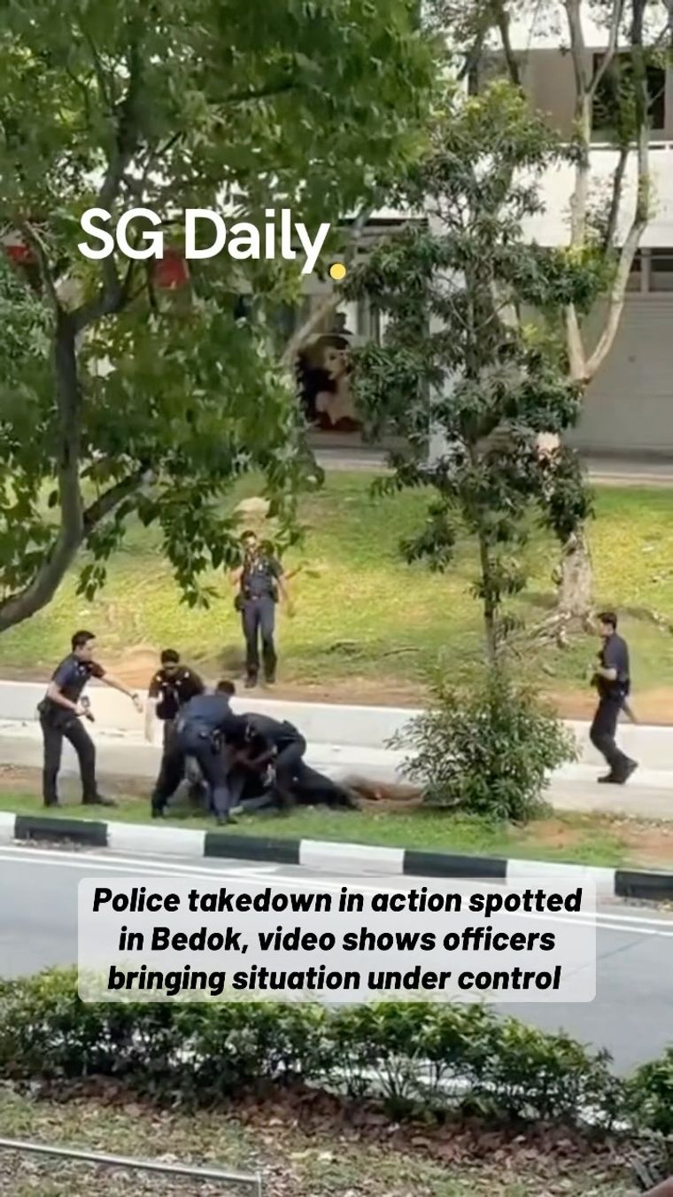 Police arrest man allegedly wielding a saw in Bedok
