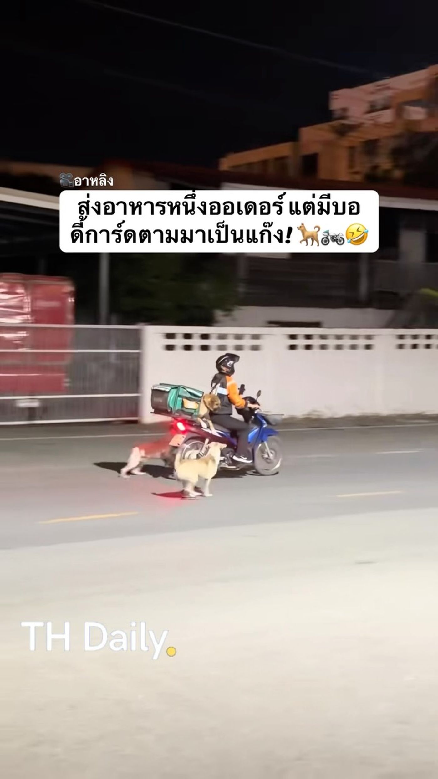 Delivery rider gets a canine escort on a night-time road