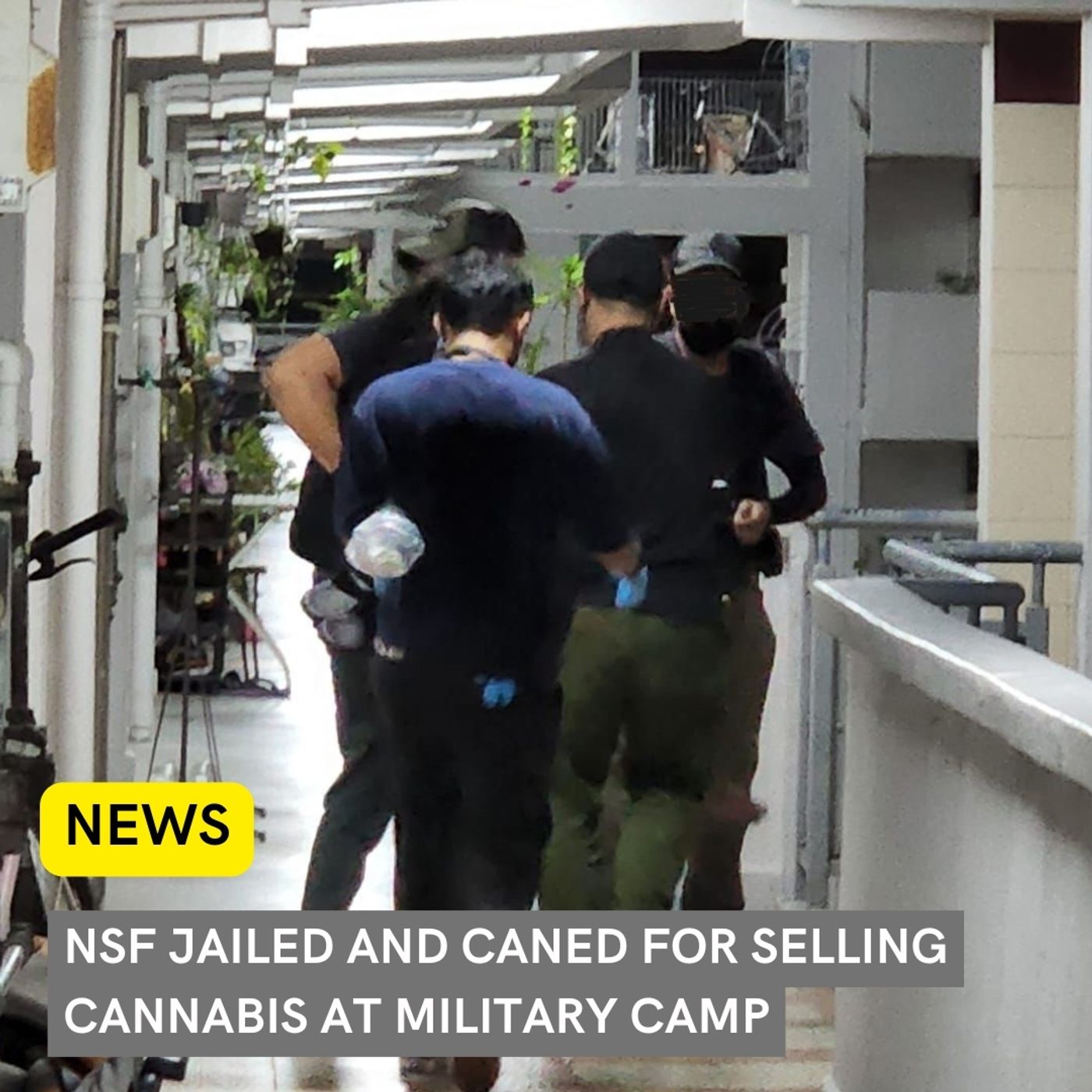 NSF Jailed and Caned for Selling Cannabis at Military Camp