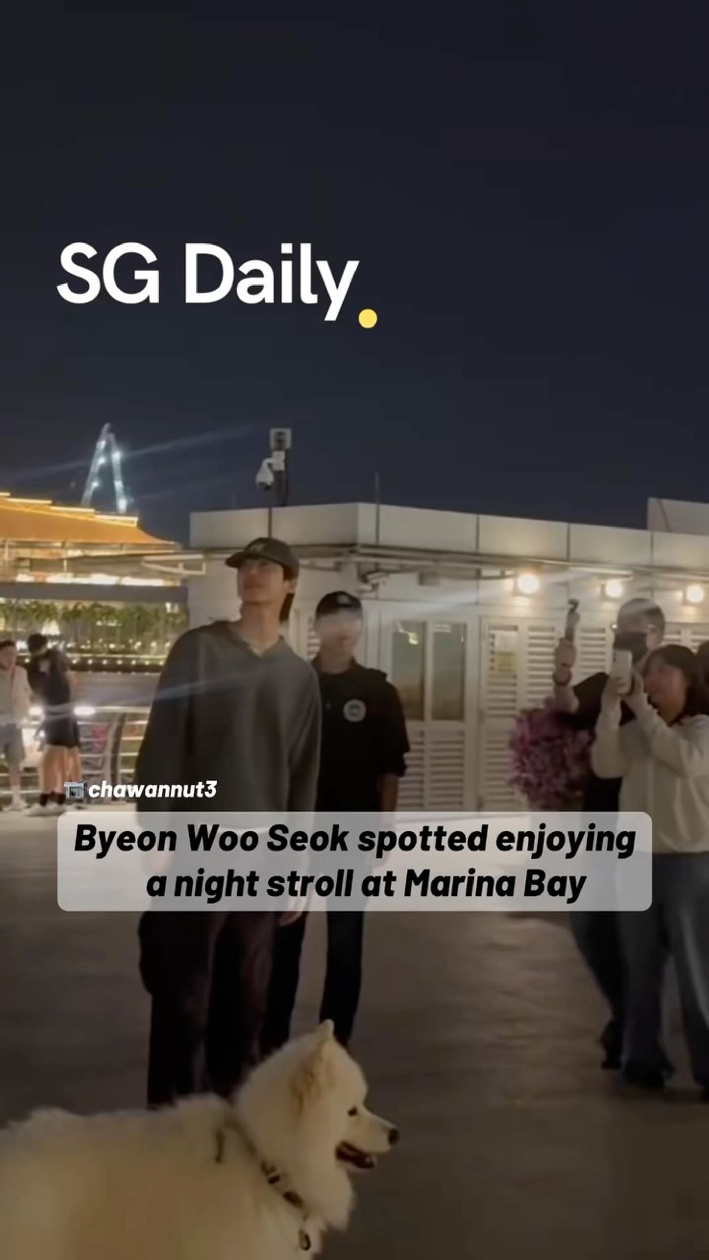 Byeon Woo Seok spotted enjoying a night stroll at Marina Bay