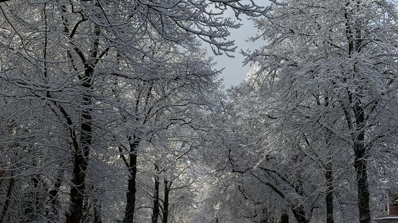 THEATER PUR WÄCHST!