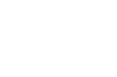 Double torus illustration