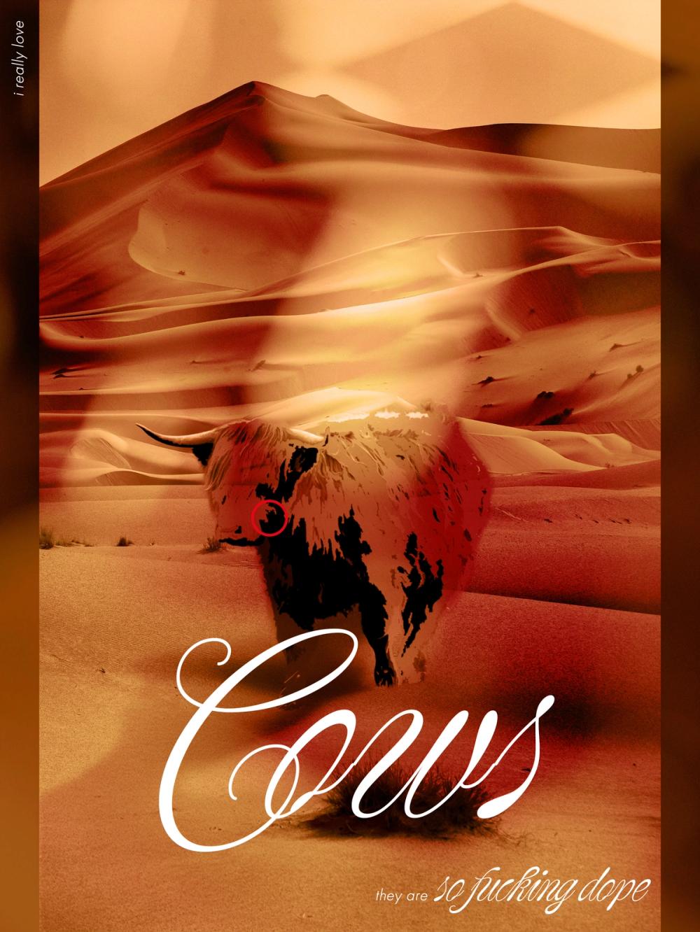 Poster of a shaggy highland cow standing in sunlit sand dunes, warm sepia wash, script title “Cows”