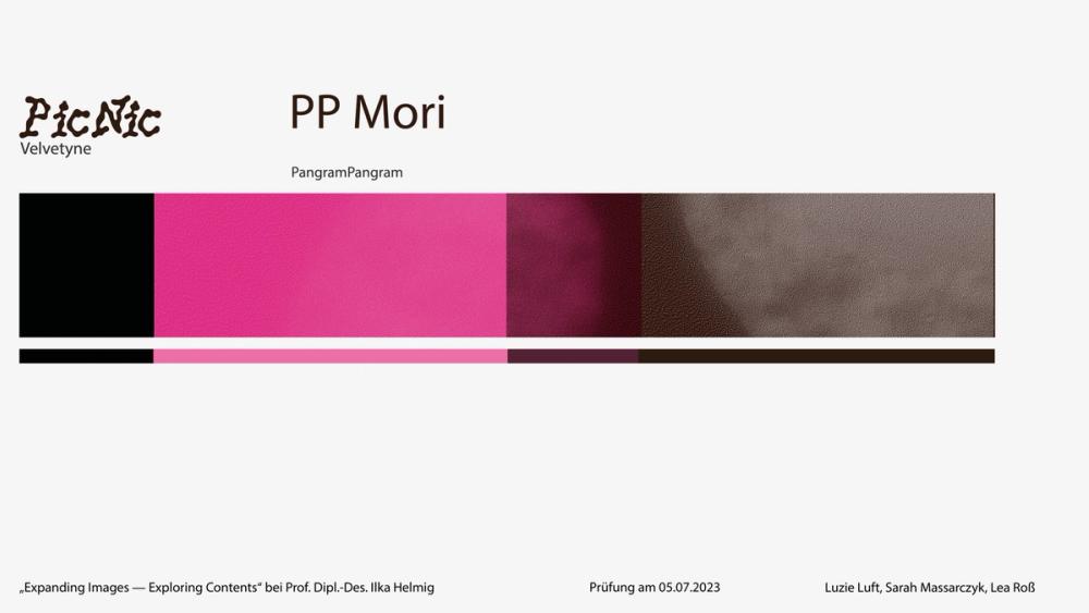 Type and colour specimen: PicNic and PP Mori named above a swatch bar of black, hot pink, burgundy and grey