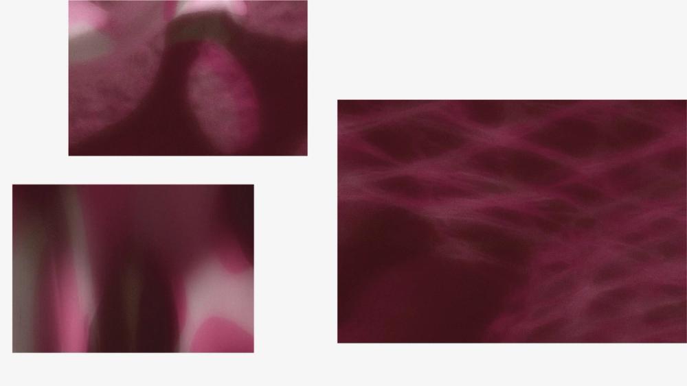 Three blurred magenta crops: soft-focus mouth and tongue forms beside a smoky pink woven mesh texture