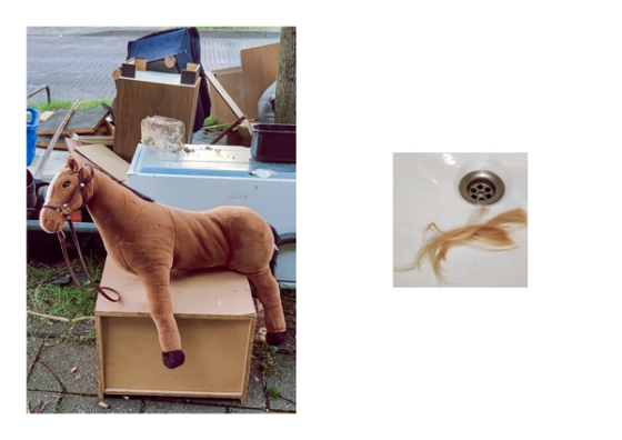 Diptych pairing a plush horse abandoned on a bulk-waste pile with blonde hair strands in a white sink