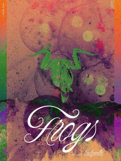 Poster of a green cut-out frog on marbled purple and orange, white script reading “Frogs” and “hell yeah tadpoles”