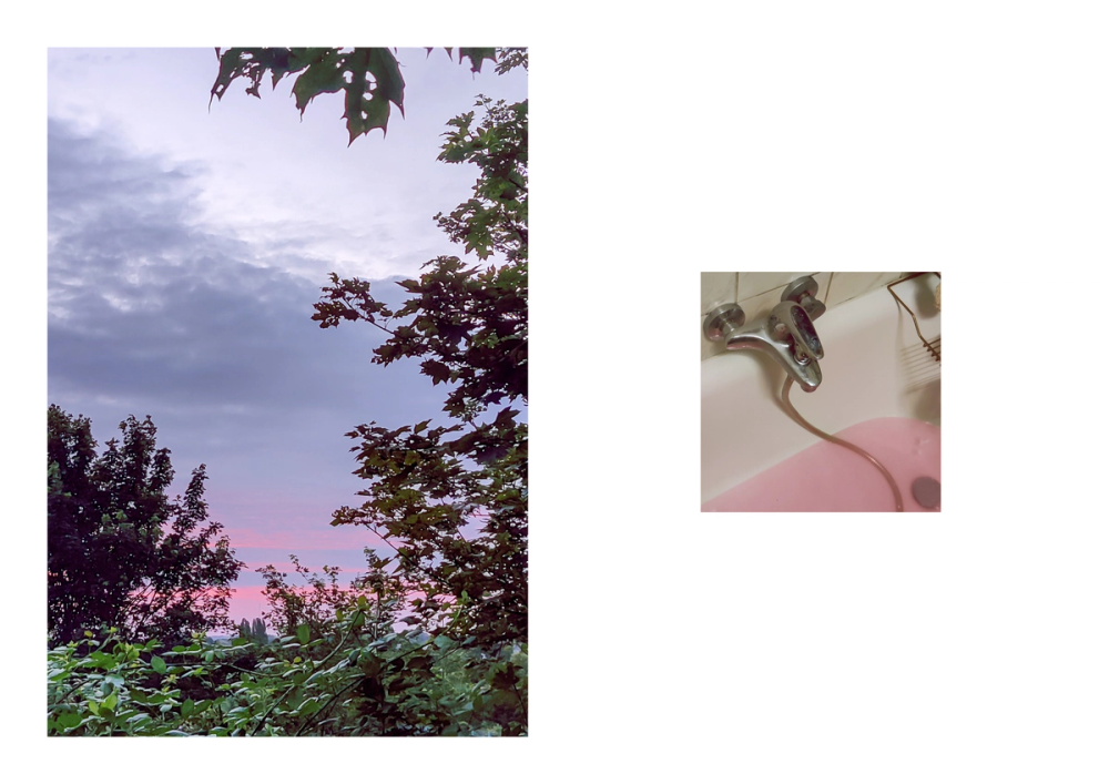 Pink dusk band glowing through dark treetops, beside a chrome tap running into rose-tinted bathwater