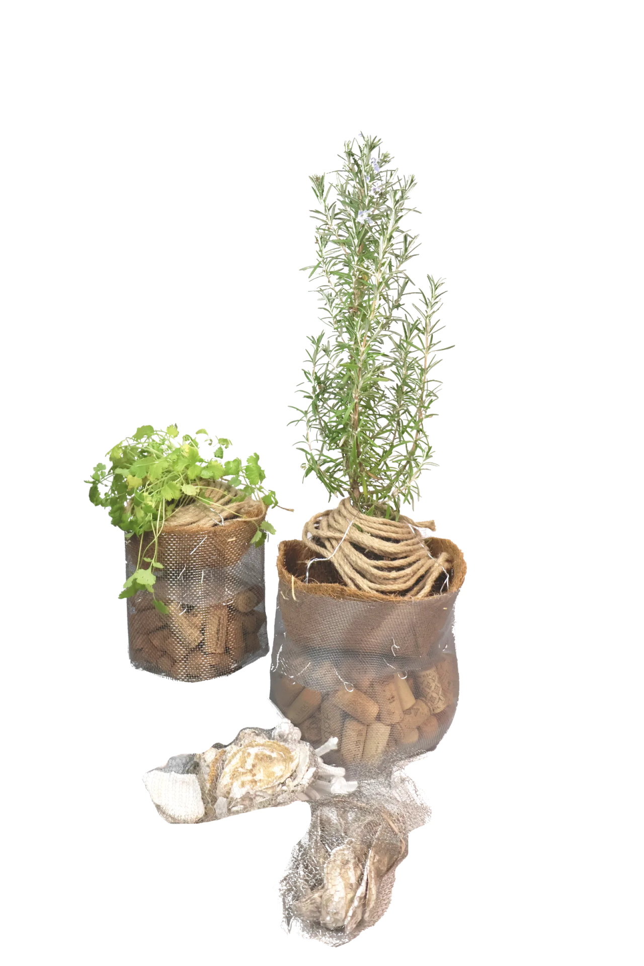 Floating Microhabitat — portfolio sheet 18 of 18