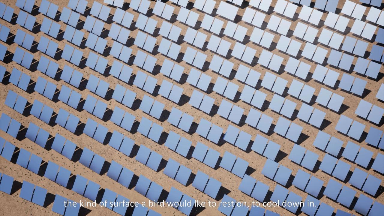 Ivanpah Solar Sanctuary — portfolio sheet 5 of 7