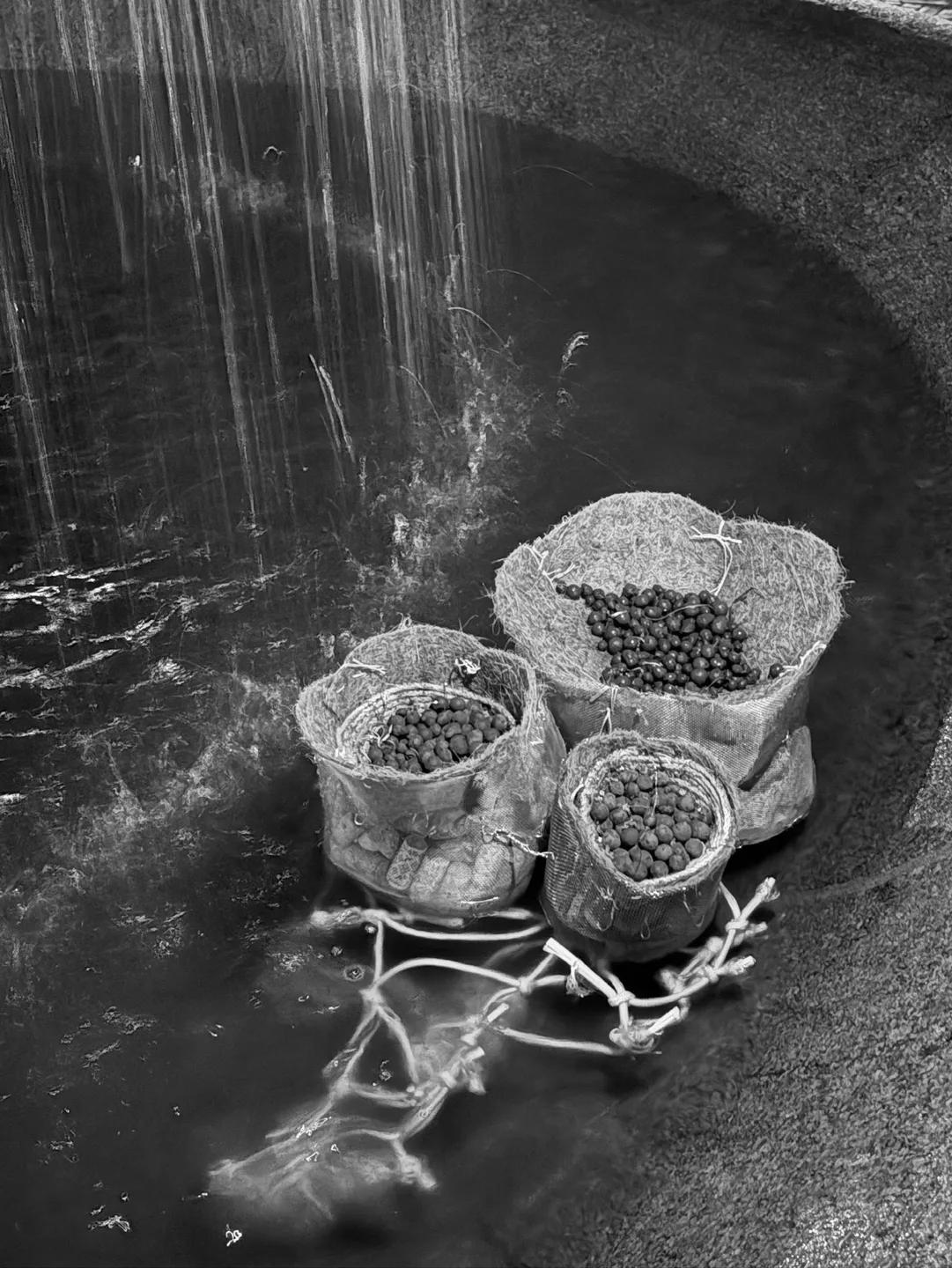 Floating Microhabitat — portfolio sheet 16 of 18