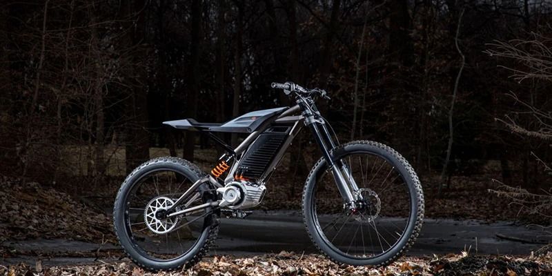 Harley davidson electric mountain 2025 bike