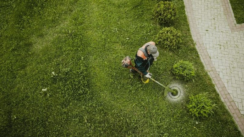 The Benefits of Hiring a Professional Landscape Service