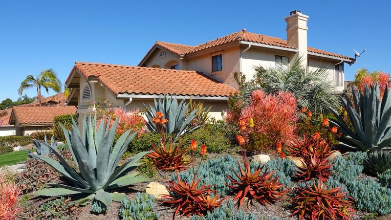 5 Landscaping Design Trends Happening in 2024