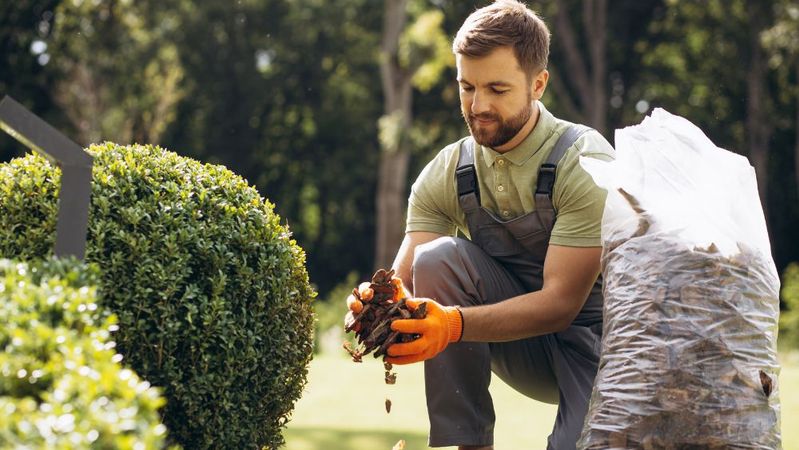 4 Signs You Need To Replace the Shrubs in Your Yard