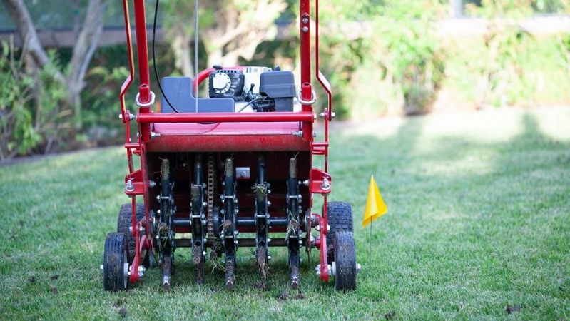 5 Secrets To Maintaining a Green Lawn in Las Vegas