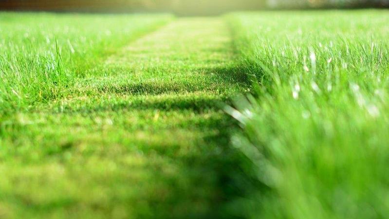 6 Maintenance Mistakes That Could Ruin Your Landscaping