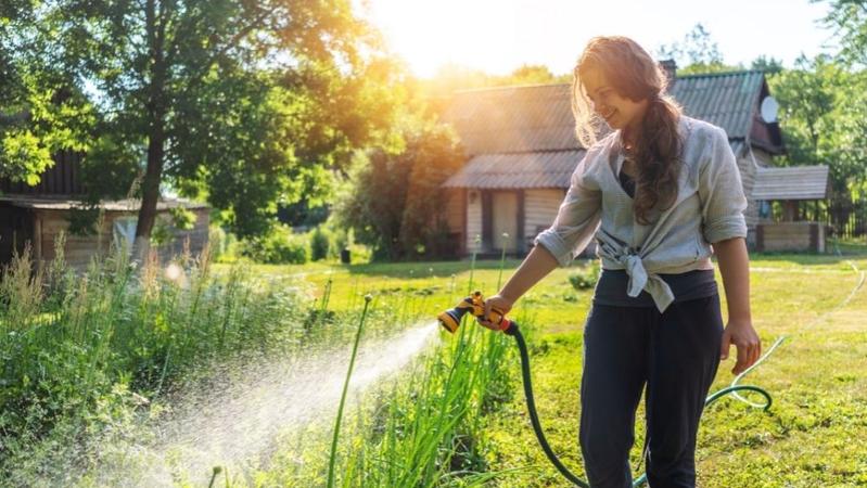 How To Improve Water Drainage in a Landscape
