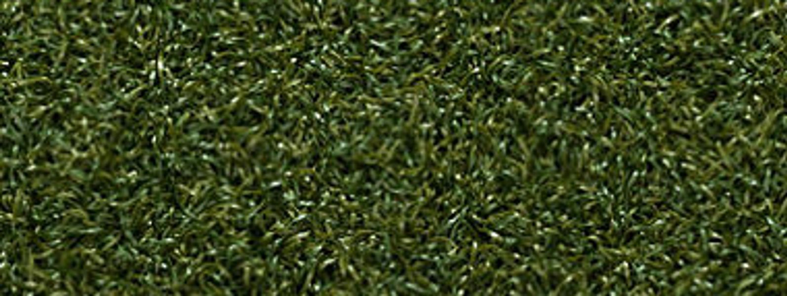 Artificial Grass in Las Vegas