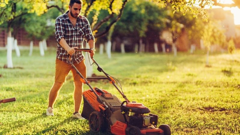 5 Signs Your Property Needs Landscape Maintenance