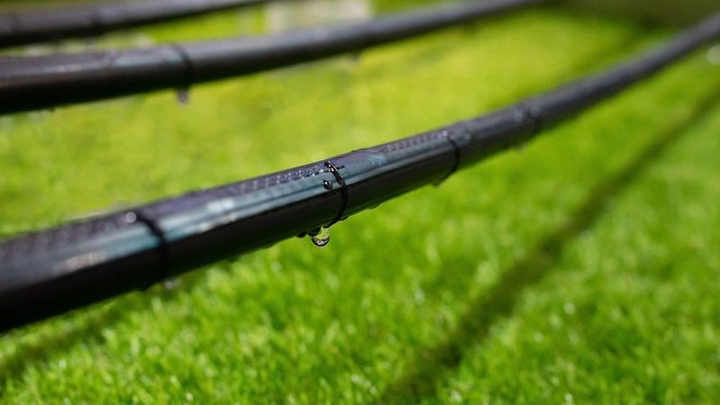 5 Ways To Conserve Water in Your Las Vegas Landscape