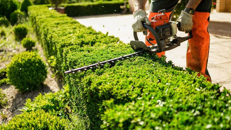 Factors To Consider When Hiring a Landscaping Company