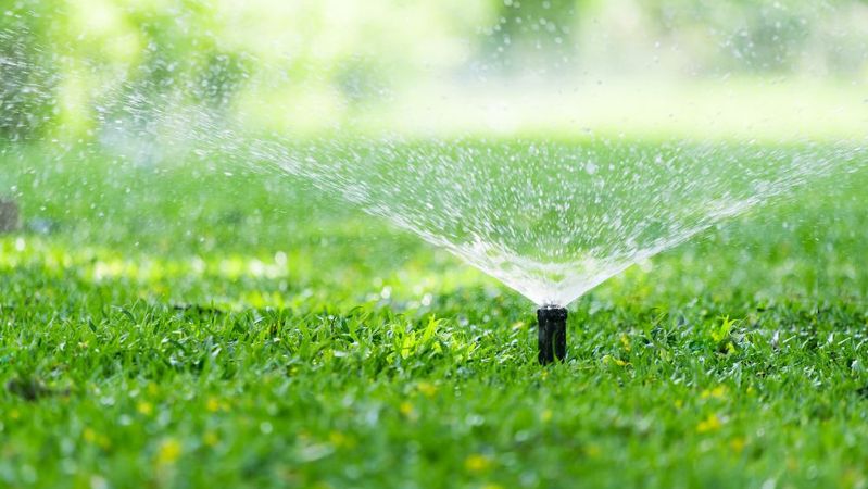 Essential Practices for Lawn Care in Dry Conditions