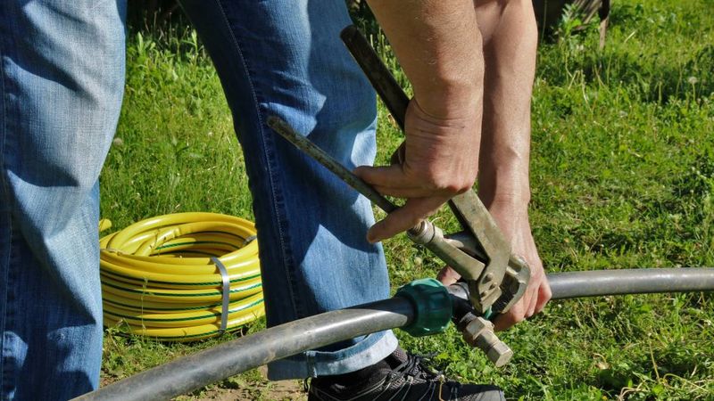 5 Common Lawn Irrigation Mistakes To Avoid