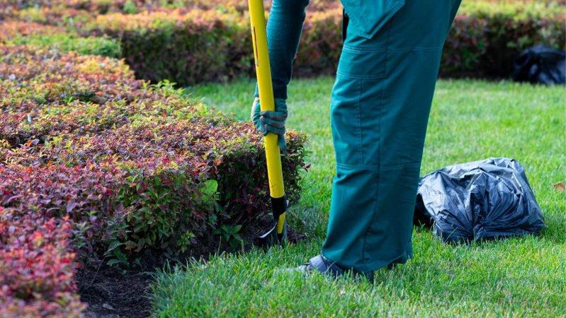 5 Things You Didn’t Know a Landscaping Service Could Do
