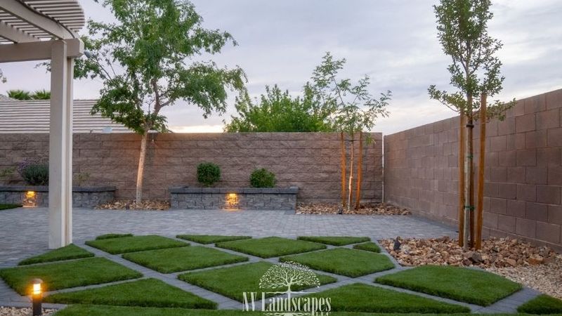 Designing and Caring for a Backyard Cactus Garden