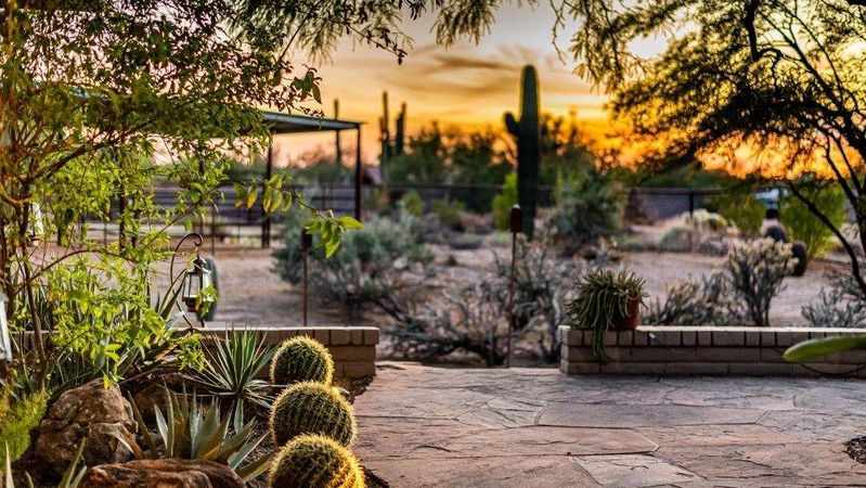 How Do You Make a Desert Landscape More Colorful?