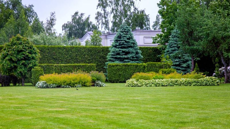 Landscaping Design Ideas To Create Privacy